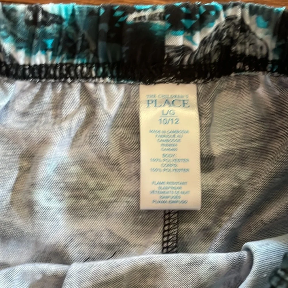 NWT boys dinosaur print 2 piece short set sleeveless top size L 10/12 - Picture 9 of 11